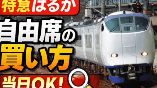 特急はるか自由席の買い方|当日でも迷わない完全ガイド